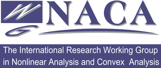 The International Research Working Group of Nonlinear Analysis and Convex Analysis